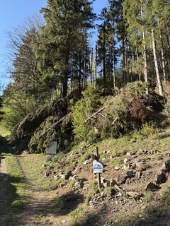 Foto von Iris Heinzel entlang der Tour