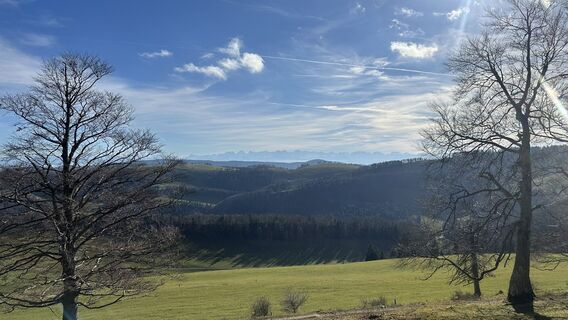 Fotografia z michael lierka na trase