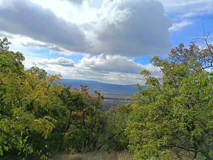 Photo de Julika Jármer le long du parcours