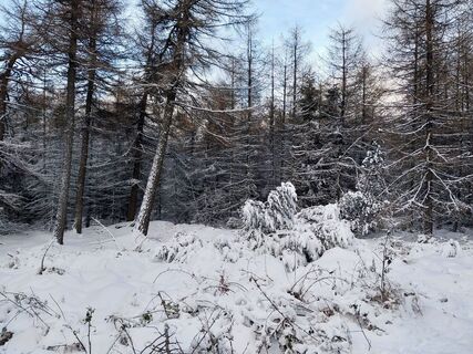 Zdjęcie z Jens Gebauer wzdłuż trasy