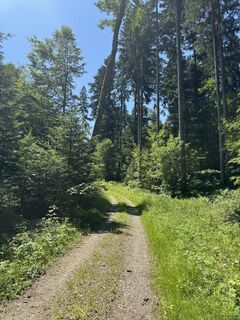 Foto von Robert - 1 entlang der Tour