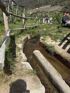 Photo de Gerald Rohrbacher le long du parcours