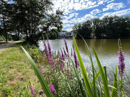 Blick auf das PETERS Hotel &amp; Spa am Jägersburger Brückweiher
