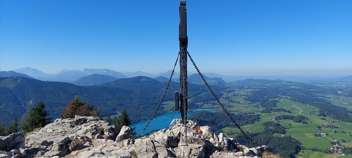 Schober