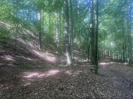 Fotografia z Geologie na trase