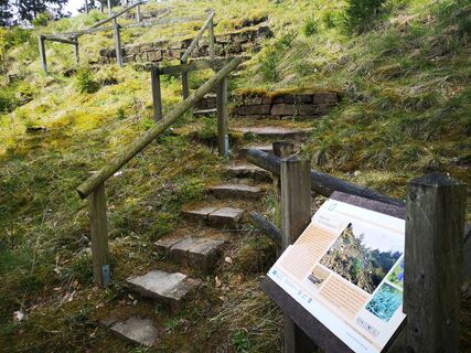Wanderweg an den Bleikuhlen bei Blankenrode