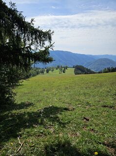 Foto von Elisabeth Wecer entlang der Tour