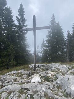 Foto von Bullitreiber entlang der Tour
