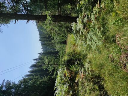 Fotografia z Wolfgang Kleewein na trase