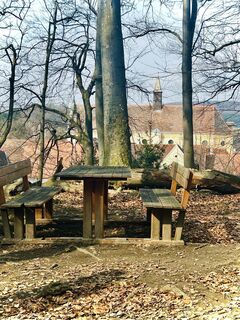 Foto von Kellner Heidi entlang der Tour