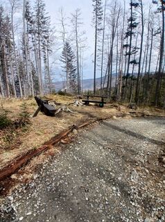 Photo de Daniel Kremiec le long du parcours