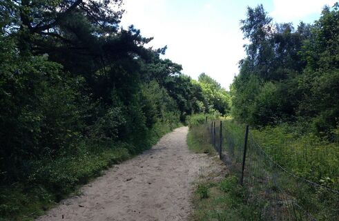 Quend_Weg-nach-dem-Hain
