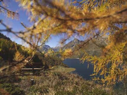 Herbststimmung in Sils