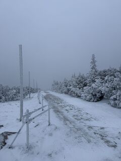 Foto de Malwin Torge a lo largo del recorrido