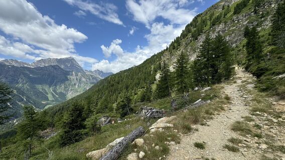 Photo de peter_oe le long du parcours