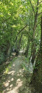 Photo de titi le long du parcours