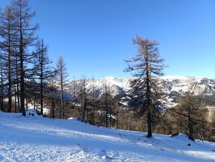 Foto von rotbaeder entlang der Tour