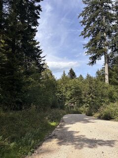 Foto von Heinz Sperl entlang der Tour