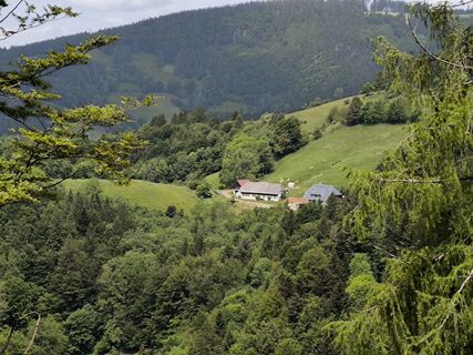 Foto von Dietmar Lüdenscheid ? entlang der Tour