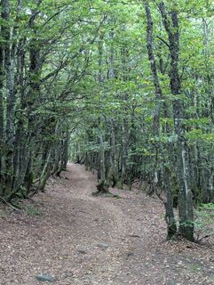 Fotó a Matje Derks honlapról a túra során