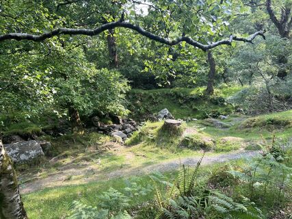 Foto de Anita Maigler a lo largo del recorrido