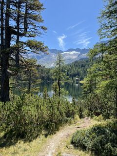 Fotografija s spletne strani Schääfchen na poti