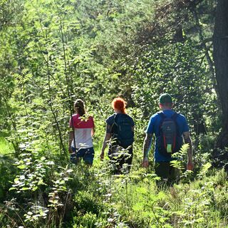 Wandern im Haspelmoor