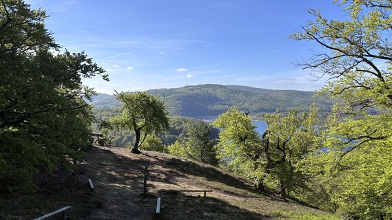 Photo de Eva T. le long du parcours