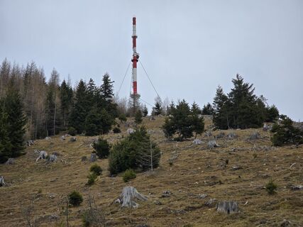 Fotografia z enipeus 65 na trase