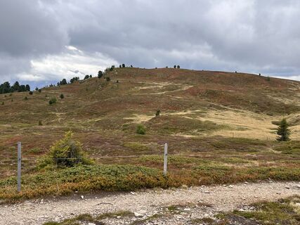 Foto från Karl Heinz Fick under resans gång