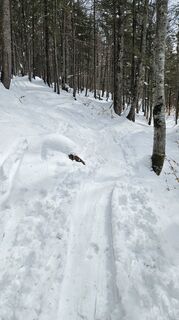 Zdjęcie z Robert8992 wzdłuż trasy