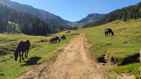 Foto von owspu2stk entlang der Tour