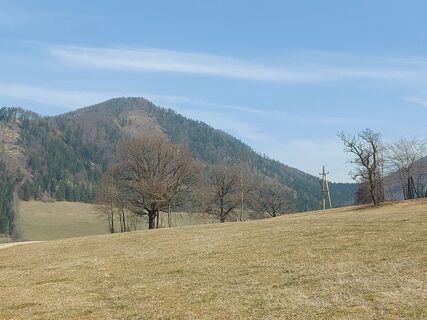 Foto de Klaus Gruber 3 a lo largo del recorrido