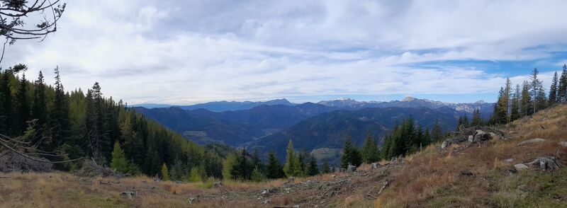 Fotografia z Michael T 3 na trase