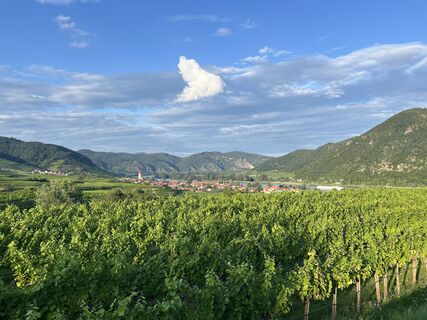 Foto von Birgit Krenner entlang der Tour