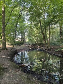 Photo de Andrea Vogt le long du parcours