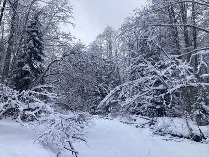 Fotografie z Helmut Scheurer na trase