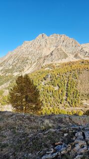 Fotografia z Fabrizi Mellano na trase