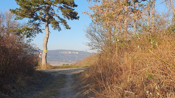 Fotografia z Bernard na trase