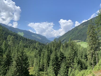 Photo de Koen De Wit le long du parcours