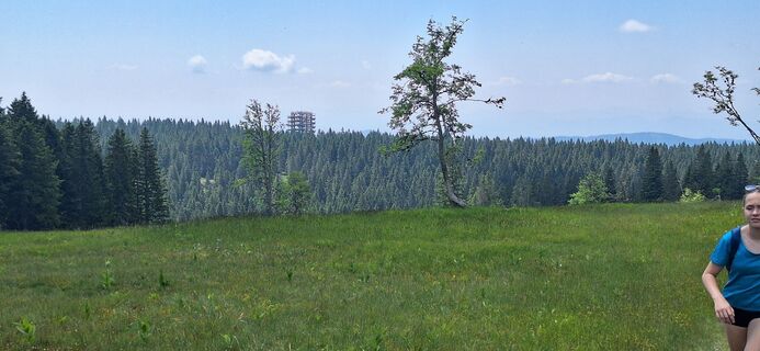 Foto von Zdravko Babič entlang der Tour