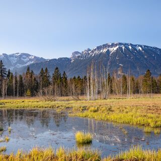 Blick auf den Breitenberg auf dem Pfrontener Moorpfad