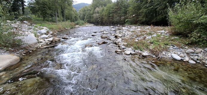 Photo de Ron van Galen le long du parcours