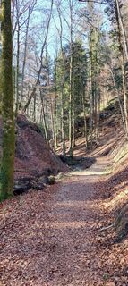 Фото с сайта Claudia Wiesinger во время экскурсии