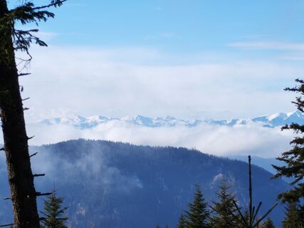 Fotografija s spletne strani v.stein na poti