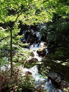 Bärenschützklamm