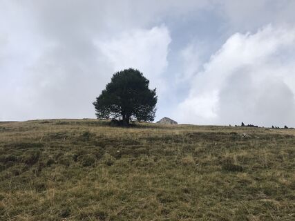Foto von Maximilian Zwanzger entlang der Tour
