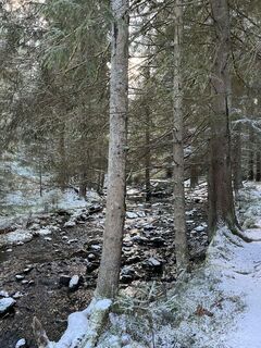 Photo de Daniel Groß le long du parcours