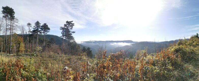 Fotografia z Viliam Beresik na trase