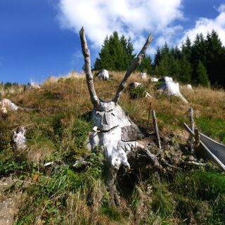 Stumme Gesellen am Wegesrand